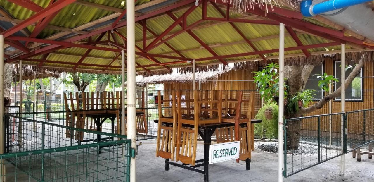 Buenavista Family Inn Tagudin Esterno foto