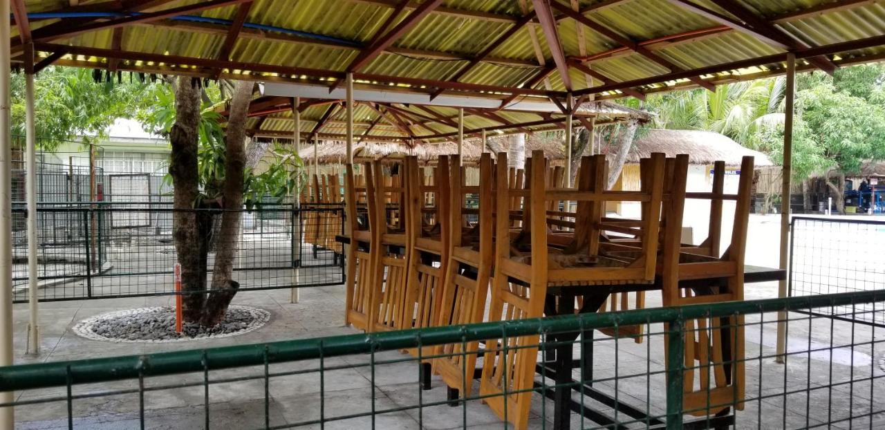 Buenavista Family Inn Tagudin Esterno foto