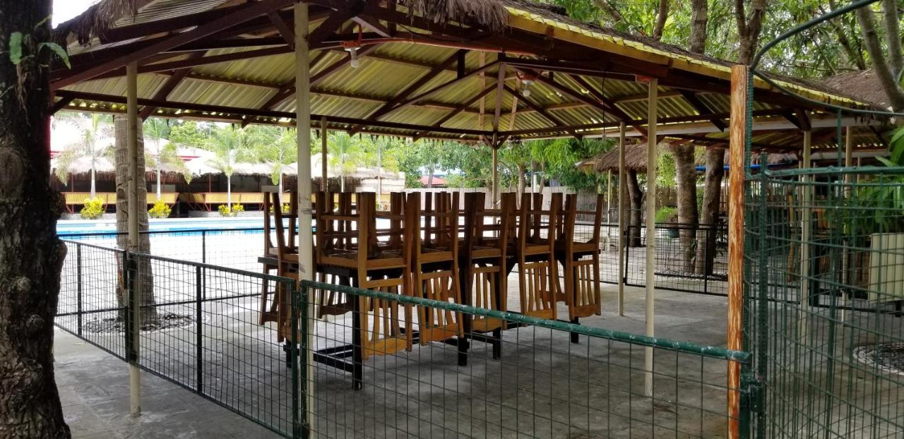 Buenavista Family Inn Tagudin Esterno foto