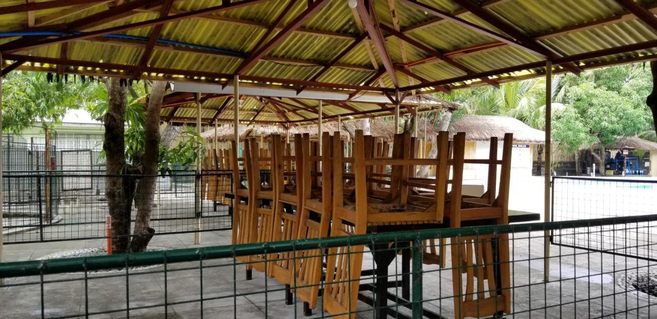 Buenavista Family Inn Tagudin Esterno foto