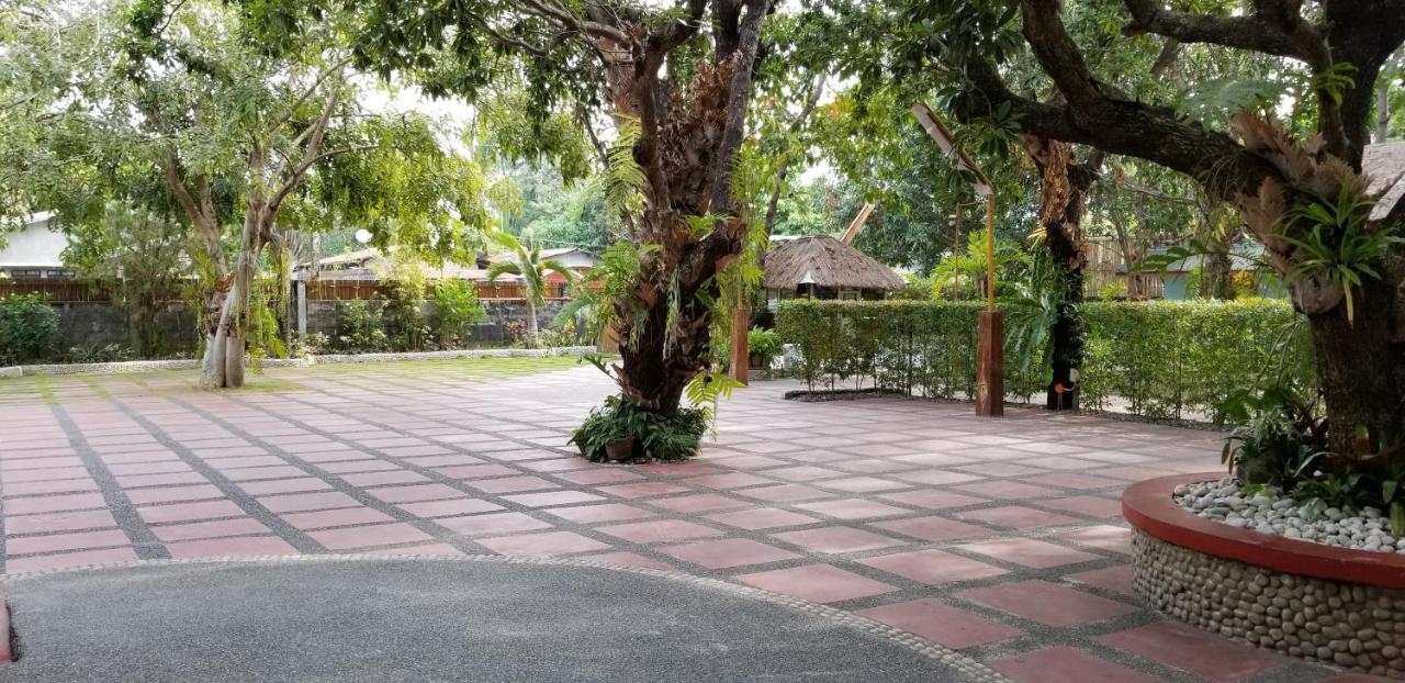 Buenavista Family Inn Tagudin Esterno foto